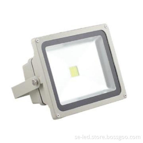 Natural White 10W RGB Outdoor IP65 led floodlights